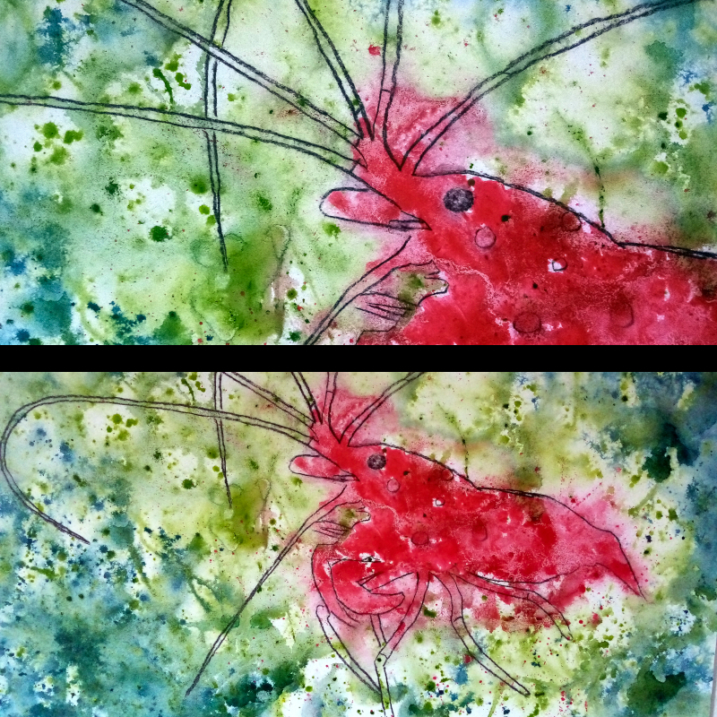 an acrylic painting of a fire shrimp