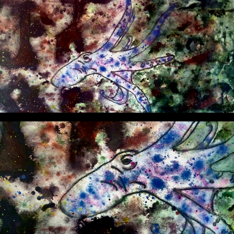 an acrylic painting of a common octopus