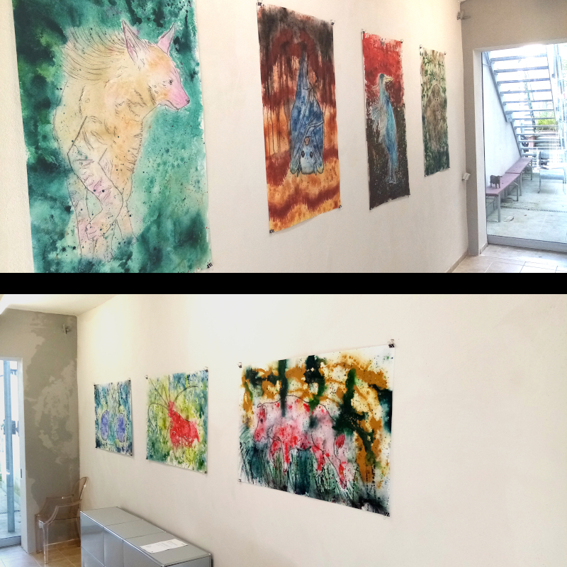 photos of an art exhibition